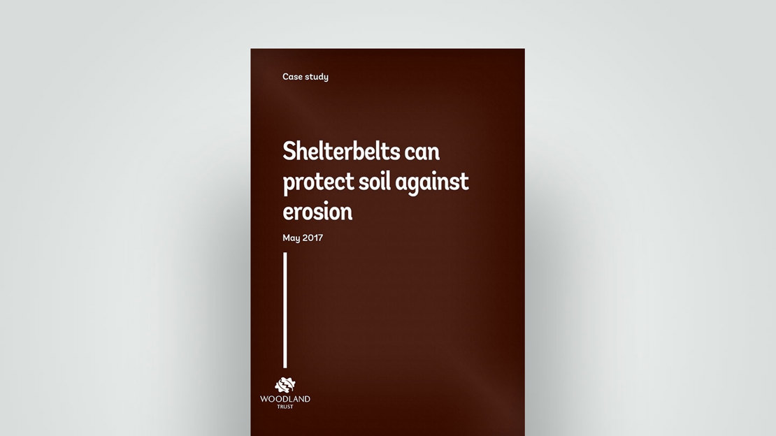 Case study: Shelterbelts Can Protect Soil Against Erosion