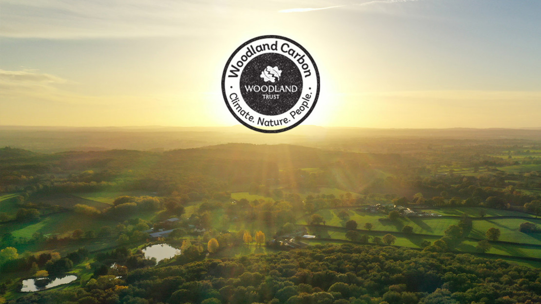 Woodland Carbon Pepper Wood