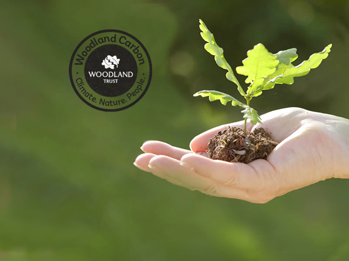 Umbraco.Cms.Infrastructure.PublishedCache.Property