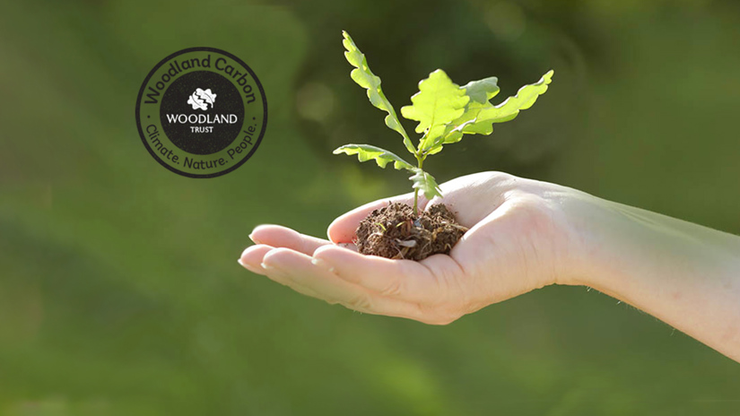 Umbraco.Cms.Infrastructure.PublishedCache.Property