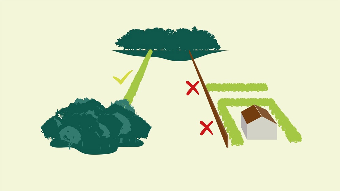 Illustration shows green tick next to hedge connecting two woods. A hedge surrounding a building and one leading from a fence are marked with red crosses.