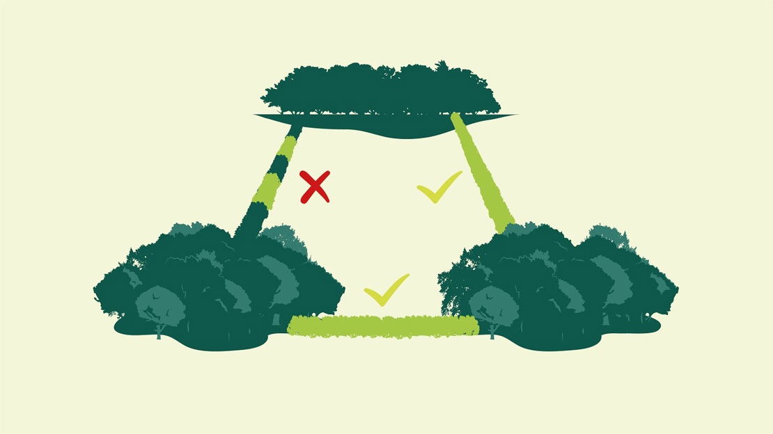 Illustration shows green ticks next to hedges connecting woodland. An existing gappy hedge filled in with new hedging is marked with a red cross.