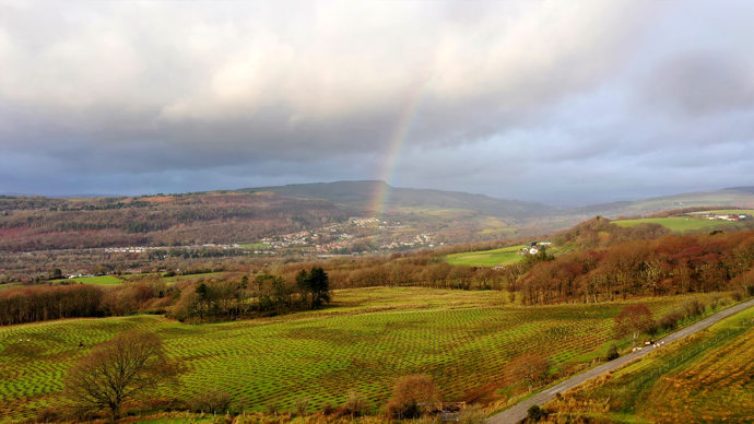 Overlooking open fields with newly planted saplings,Brynau farm