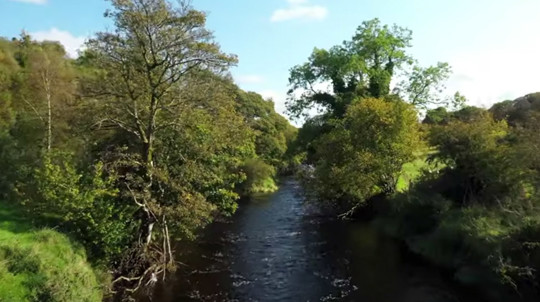 River In Faughan Valley River Banks Lined With Trees