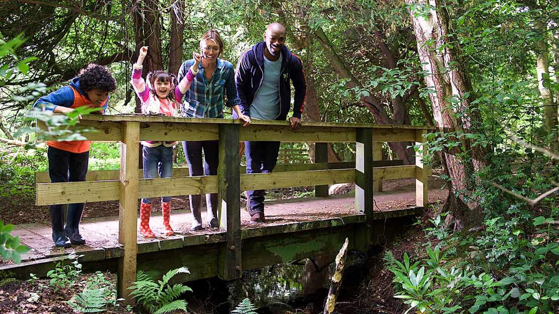 Family playing pooh sticks on a bridge