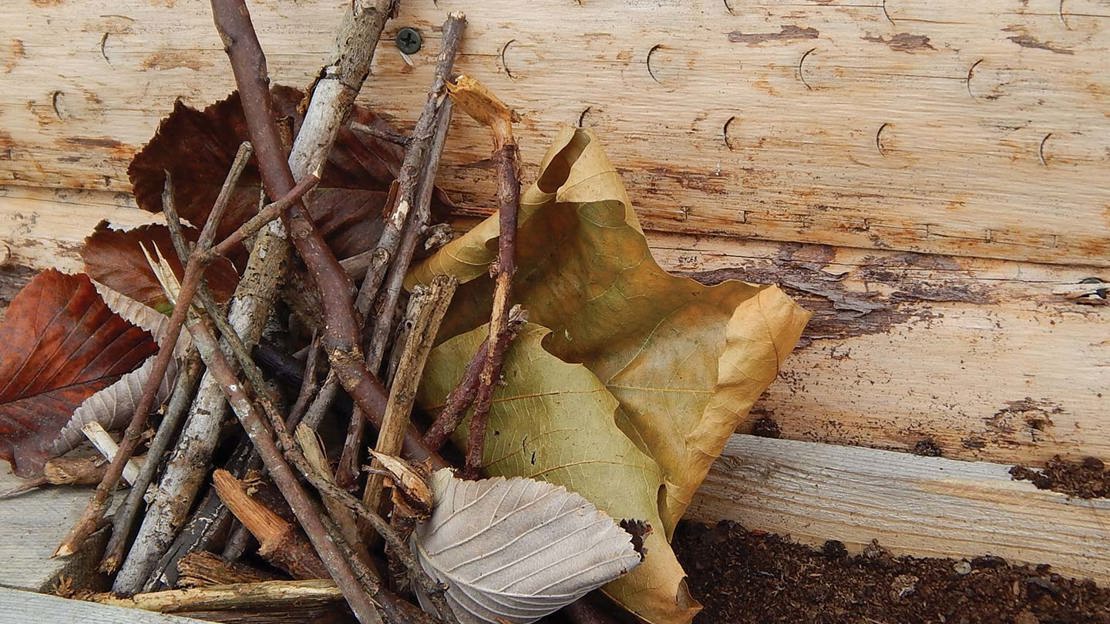 Ladybird lodge propped against a wooden wall