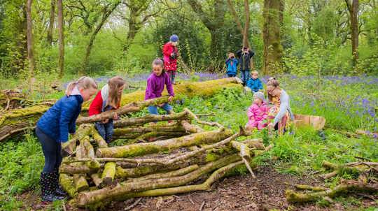 Group of children building a twig tower