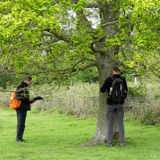 Volunteers Ian and Graeme inspecting trees
