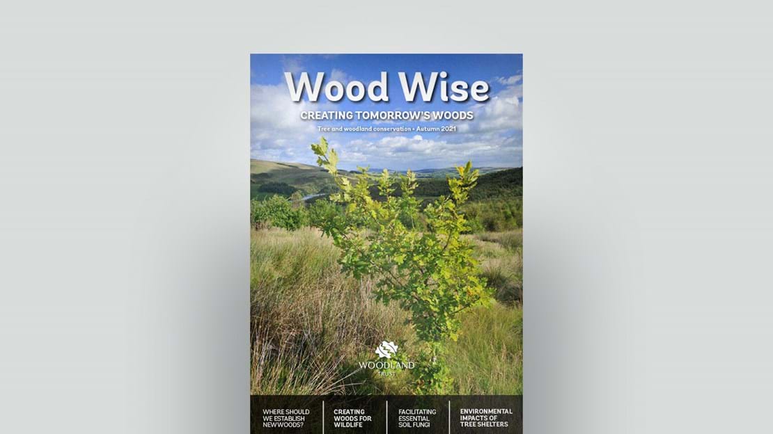 Wood Wise - creating tomorrow's woods, autumn 2021 edition