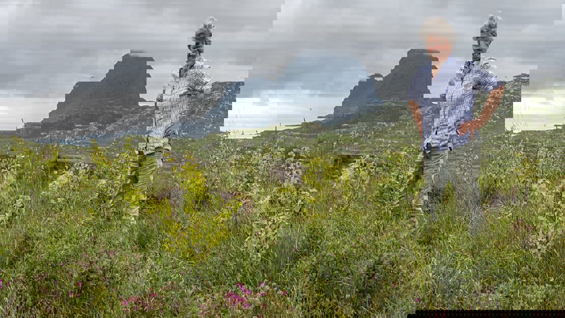 Claire standing among newly planted trees with Suilven mountain in the background
