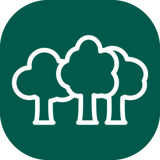White icon on green background showing three trees