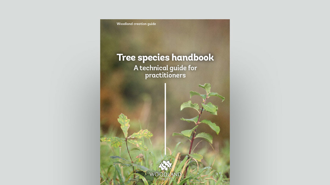 Tree species handbook document cover Tree species handbook document cover