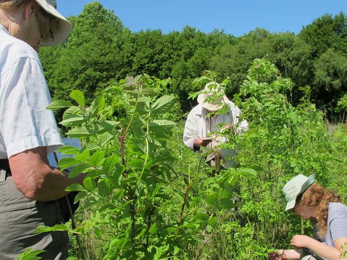 Umbraco.Cms.Infrastructure.PublishedCache.Property