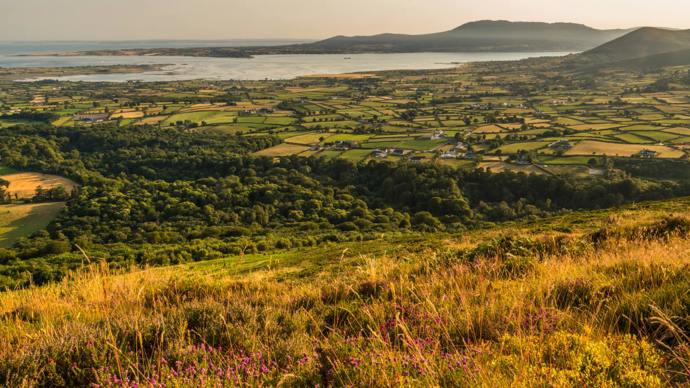 View from Knockchree Hill over Mourne Park