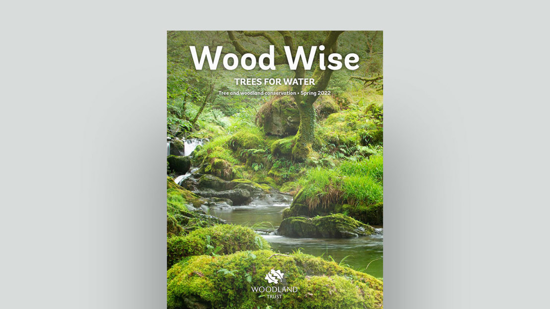 Wood Wise: Trees For Water Spring 2022 Wood Wise: Trees For Water Spring 2022