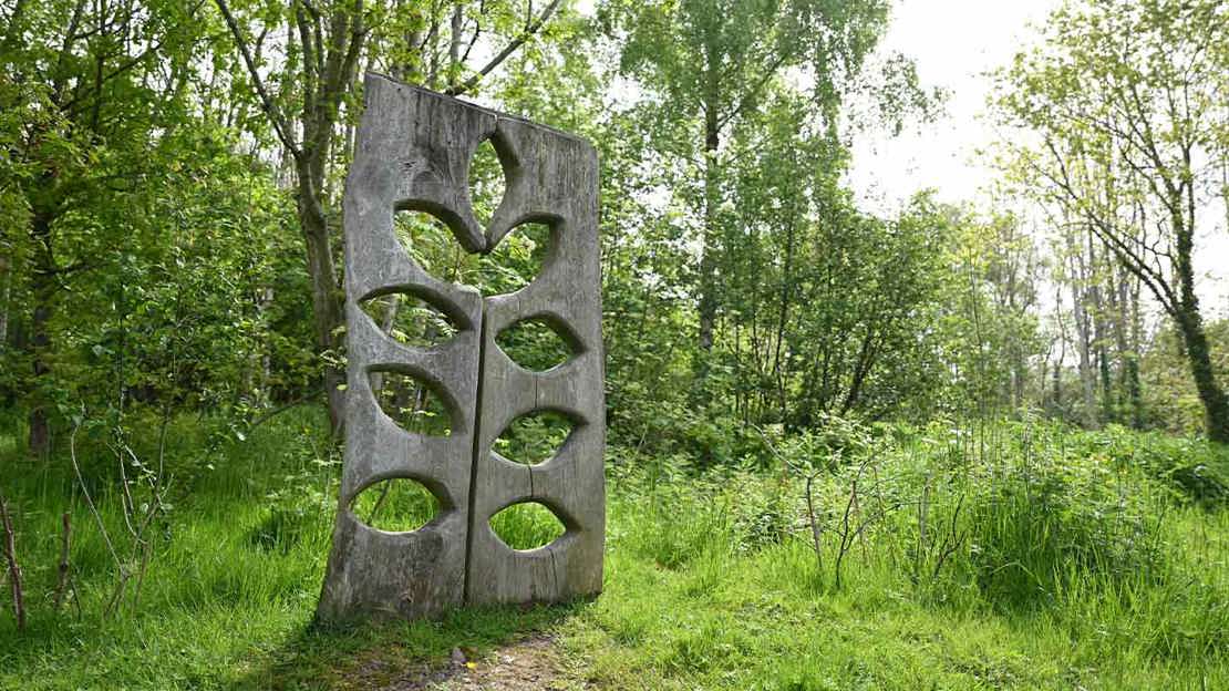 Wooden plant sculpture