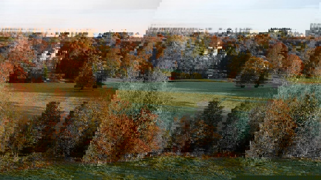 Distant view of a small castle among autumn trees