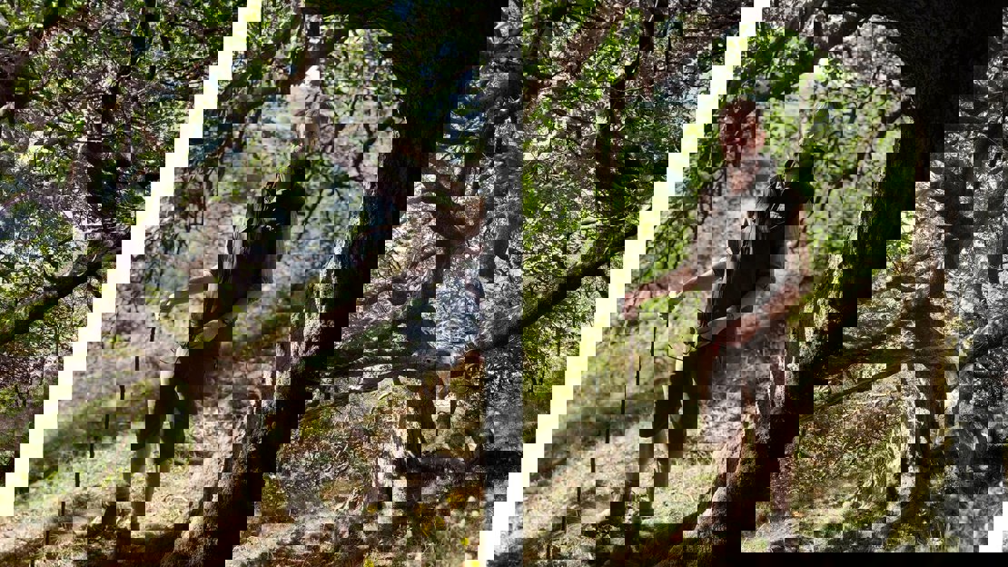 Outdoor profile shot of Ieuan Davies and a close up of an ancient tree
