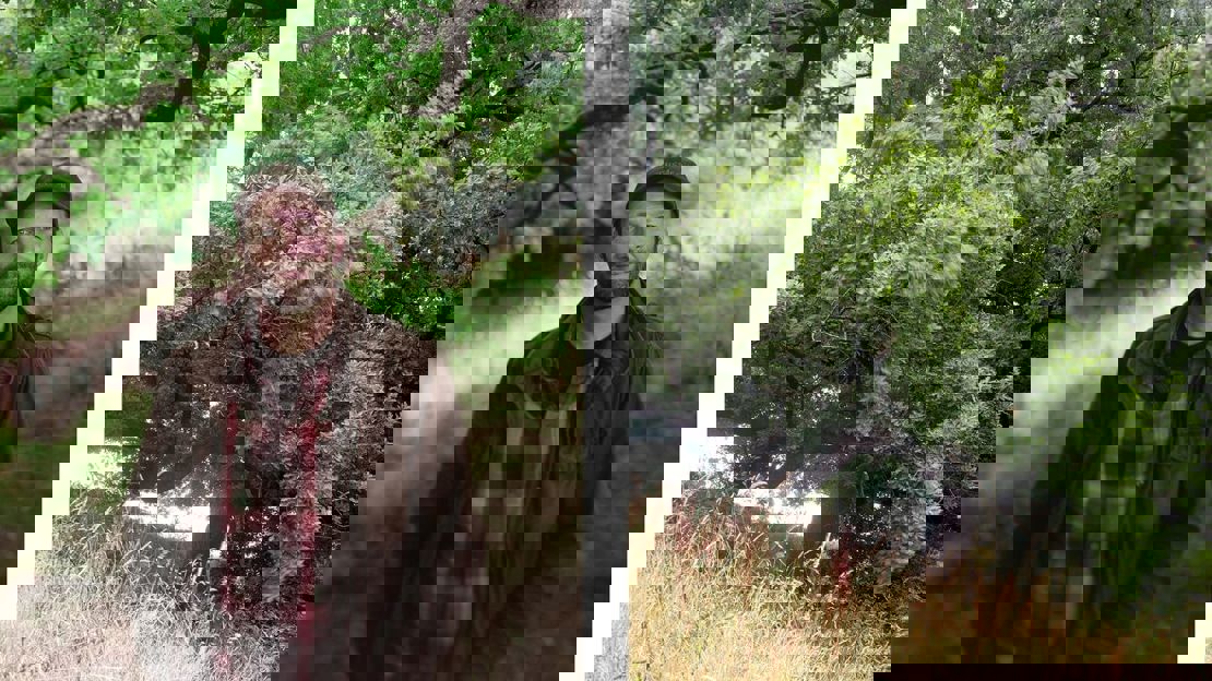 Outdoor profile shot of Ed Green and a close up of an ancient tree