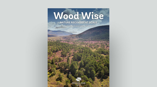 Woodwise magazine autumn 2022 document cover