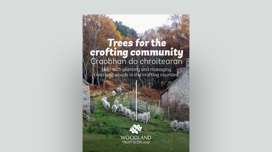 Trees for the Crofting community document cover