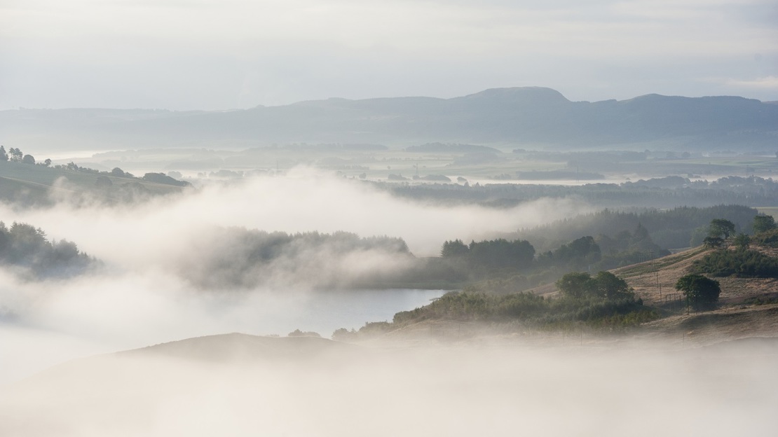 Aerial view of a landscape with trees and mountains shrouded in mist