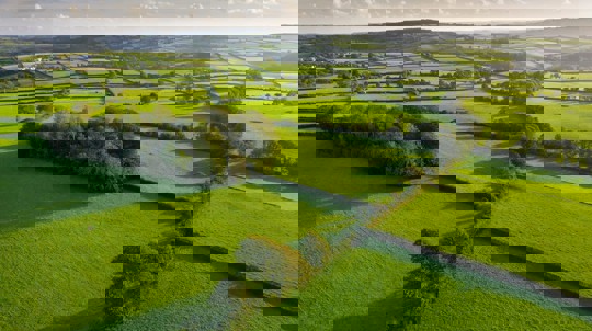 Sunny aerial view of green fields lined with hedges and trees