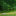 Four sheep grazing in wood pasture at Coed Cymerau Isaf