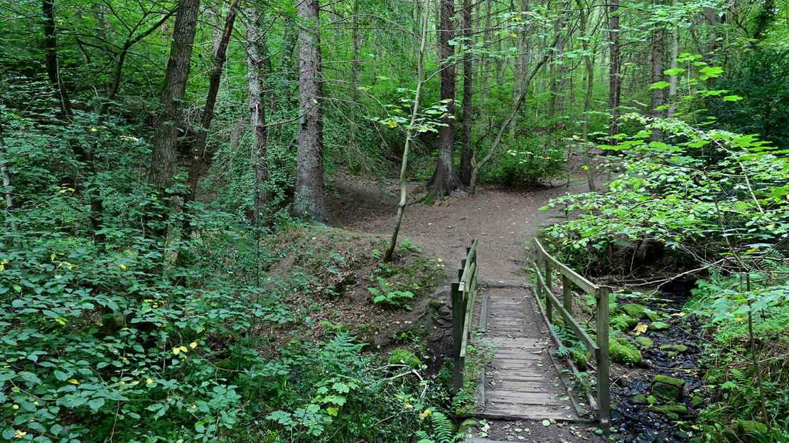 Small wooden bridge