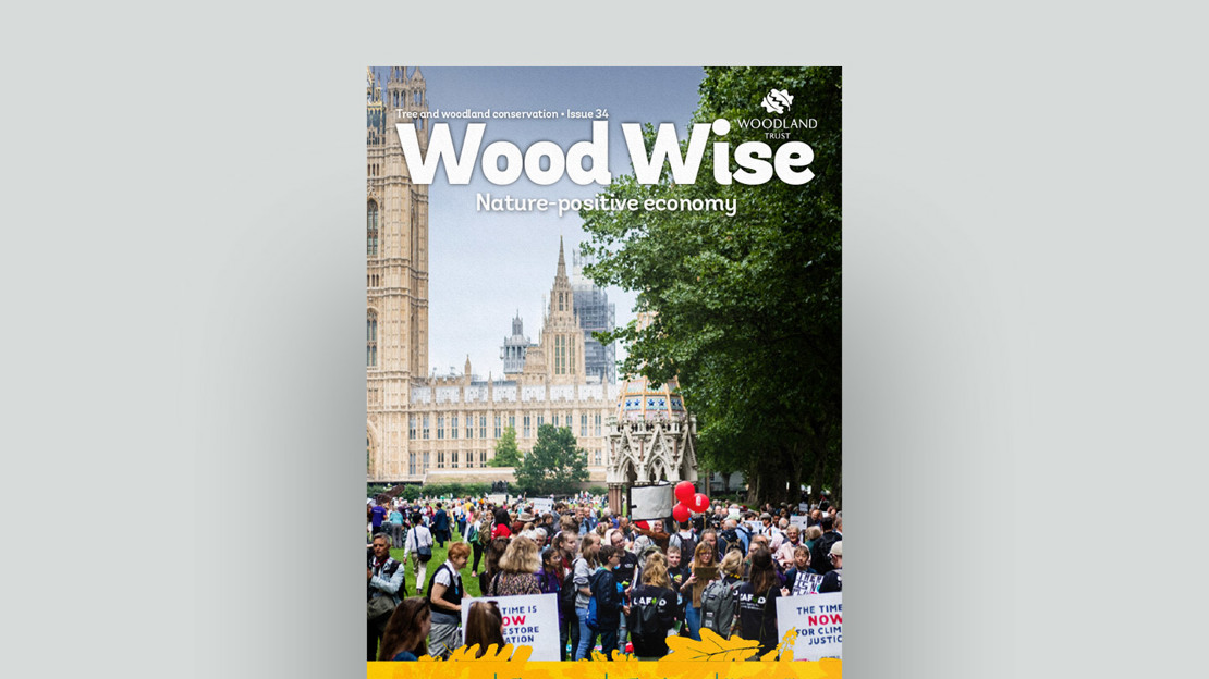 Woodwise Summer 2023 Issue 34 Nature Positive Economy document cover