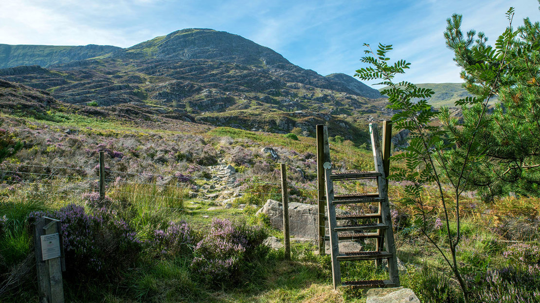 Stile leading into healthland in wales with hills in the background