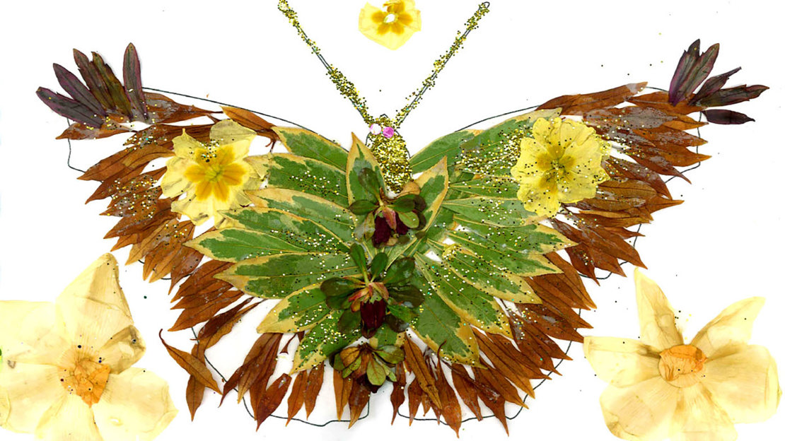 Impressive butterfly collage made using natural items such as leaves, seeds and pressed flowers