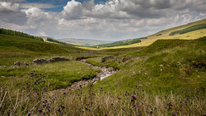Snaizeholme landscape