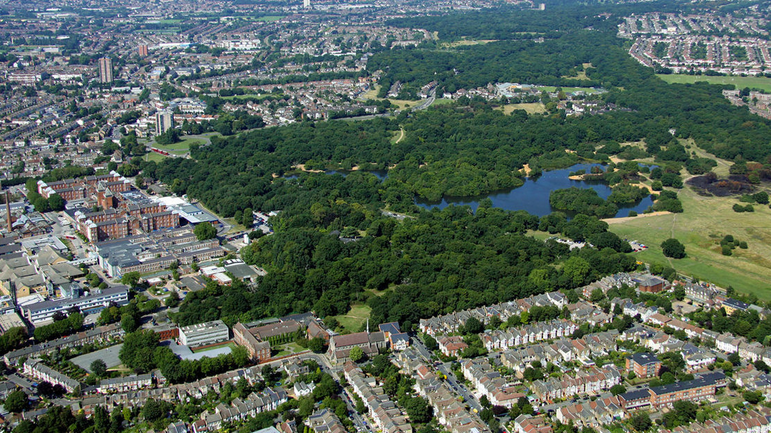 An aerial view of Epping Forest in East London showing urban buildup next to the woods