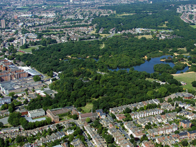 Umbraco.Cms.Infrastructure.PublishedCache.Property