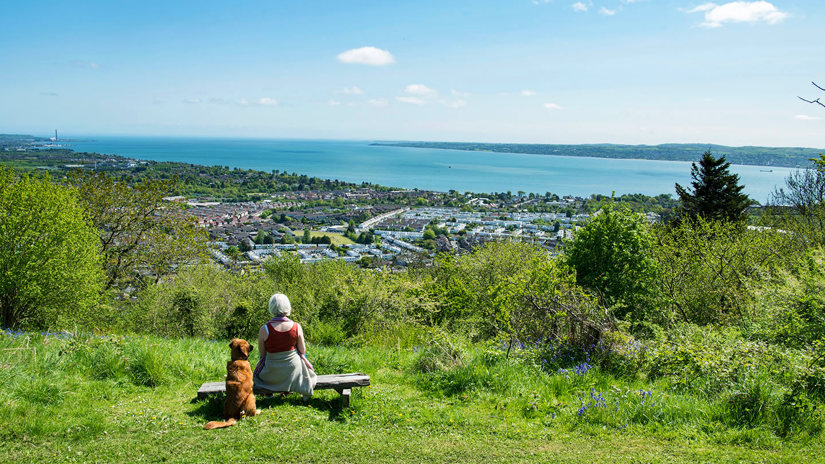 Umbraco.Cms.Infrastructure.PublishedCache.Property