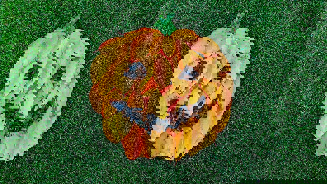 A pumpkin collage made from autumn leaves arranged on a lawn