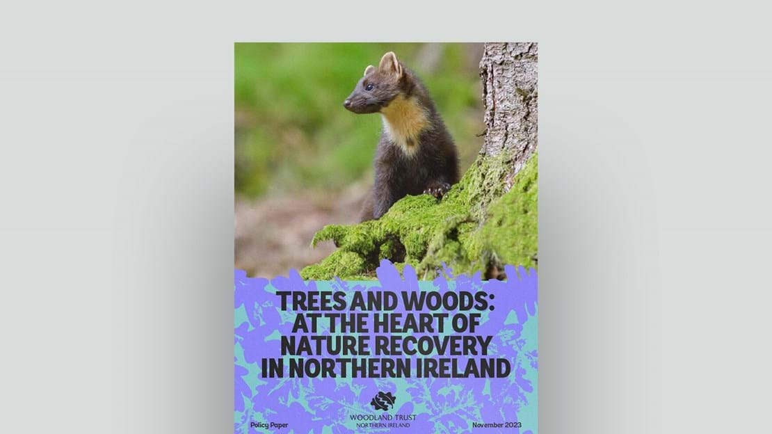 Trees And Woods At The Heart Of Nature Recovery In Northern Ireland document cover