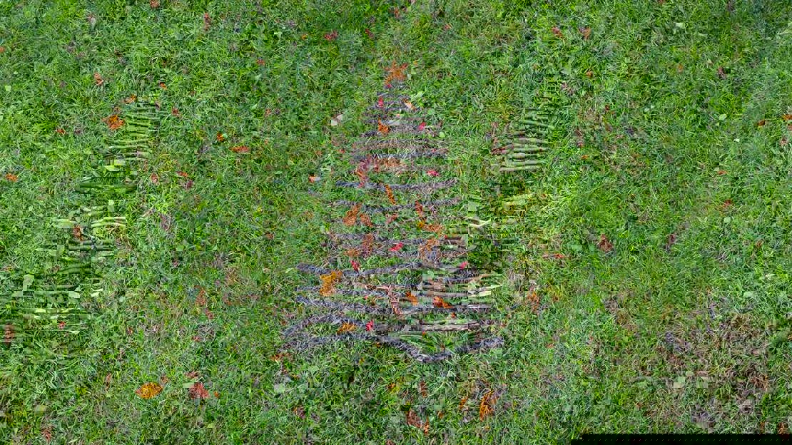 A Christmas tree shape made out of sticks on a patch of grass