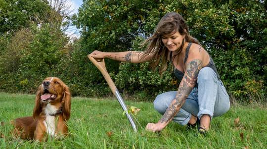 Woman plants a sapling, dog sat on the grass next to her