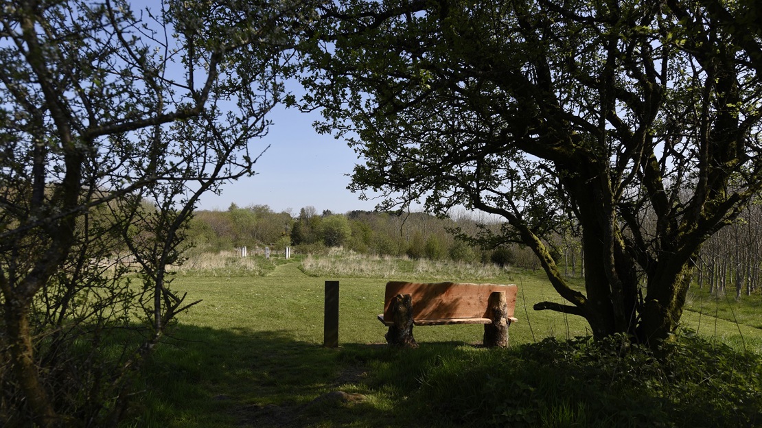 A wooden bench beneath trees facing a grassy area with woodland in the distance