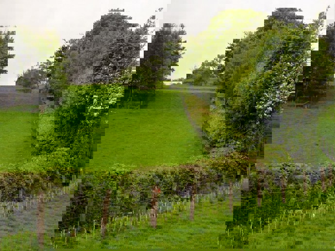 Umbraco.Cms.Infrastructure.PublishedCache.Property