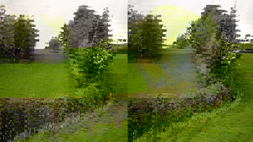 Umbraco.Cms.Infrastructure.PublishedCache.Property