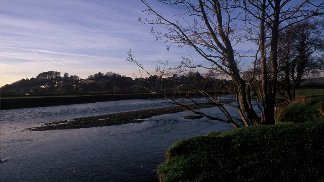 A river with tree-lined banks at dusk under a wide clear sky