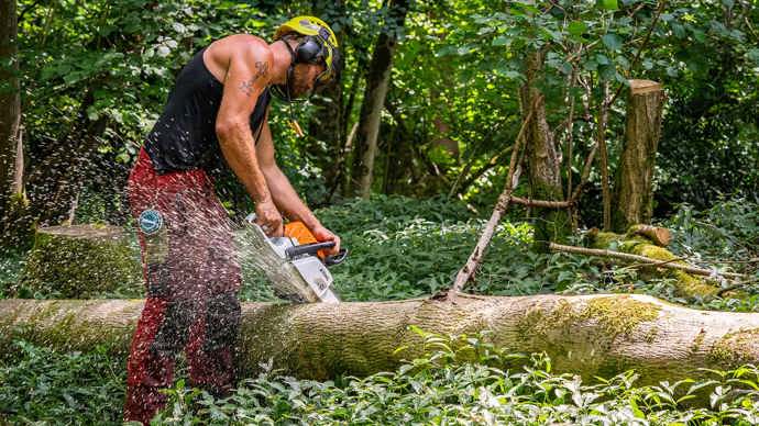 Man in a vest and protective head and legwear sawing through a tree trunk with a chainsaw