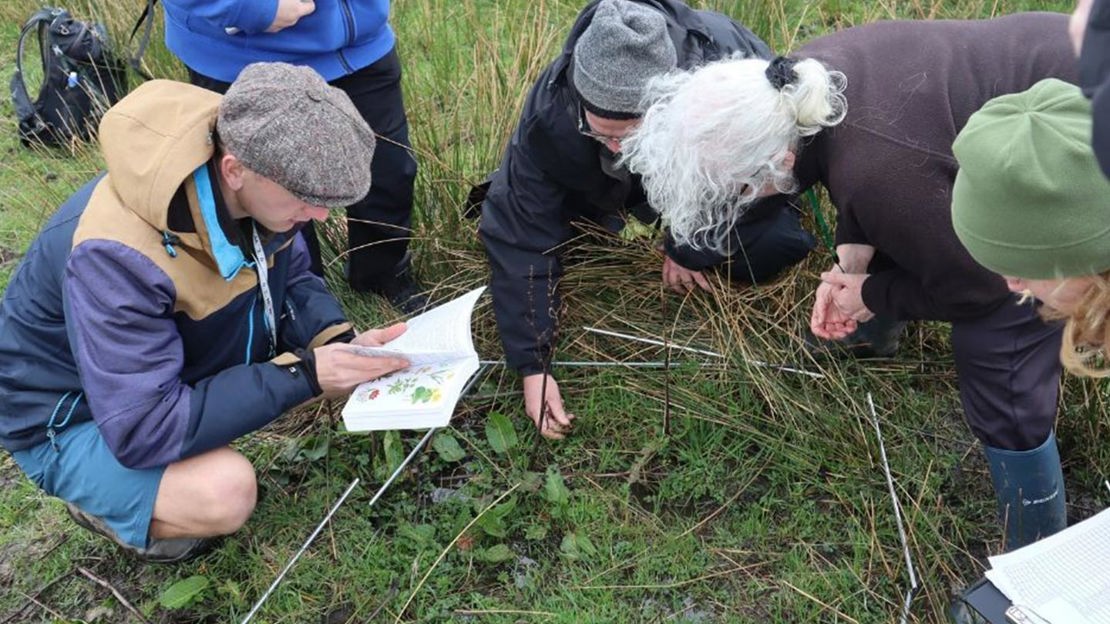 Group of people using plant ID book to identify plant on ground.