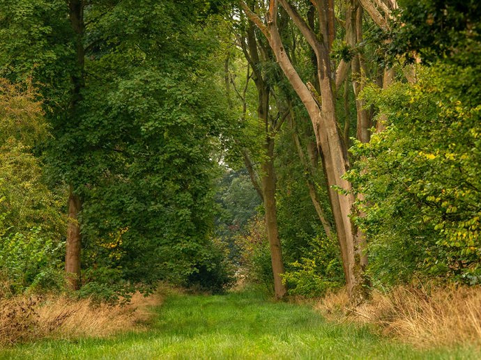 Umbraco.Cms.Infrastructure.PublishedCache.Property