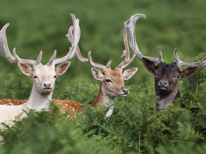 Umbraco.Cms.Infrastructure.PublishedCache.Property