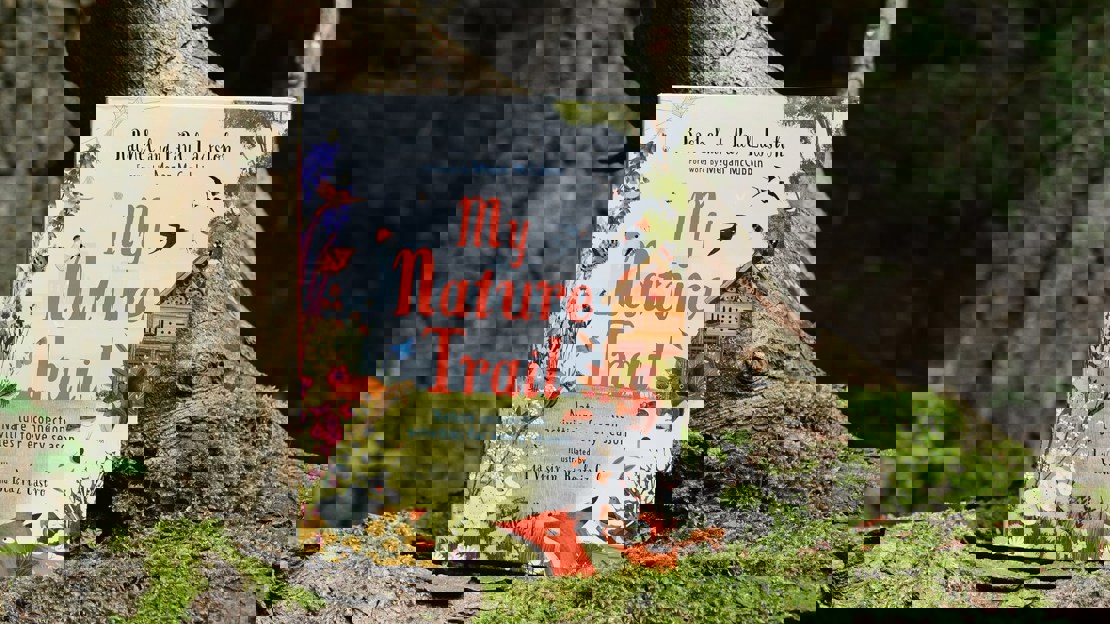 Close up of children's book standing on a mossy tree branch