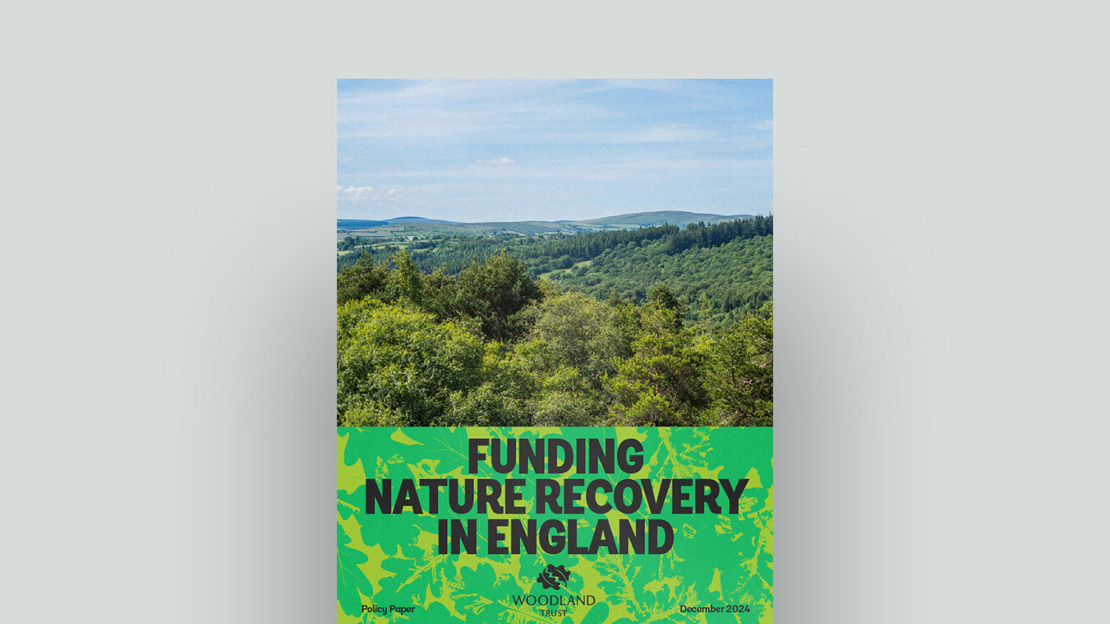 Woodland Trust response to role of state in nature report document cover Woodland Trust response to role of state in nature report document cover